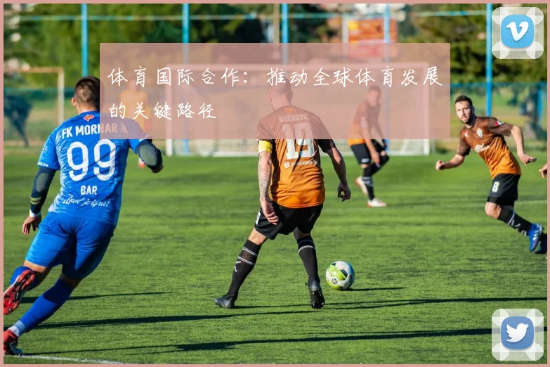 体育国际合作：推动全球体育发展的关键路径