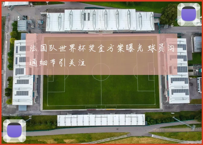 法国队世界杯奖金方案曝光 球员沟通细节引关注